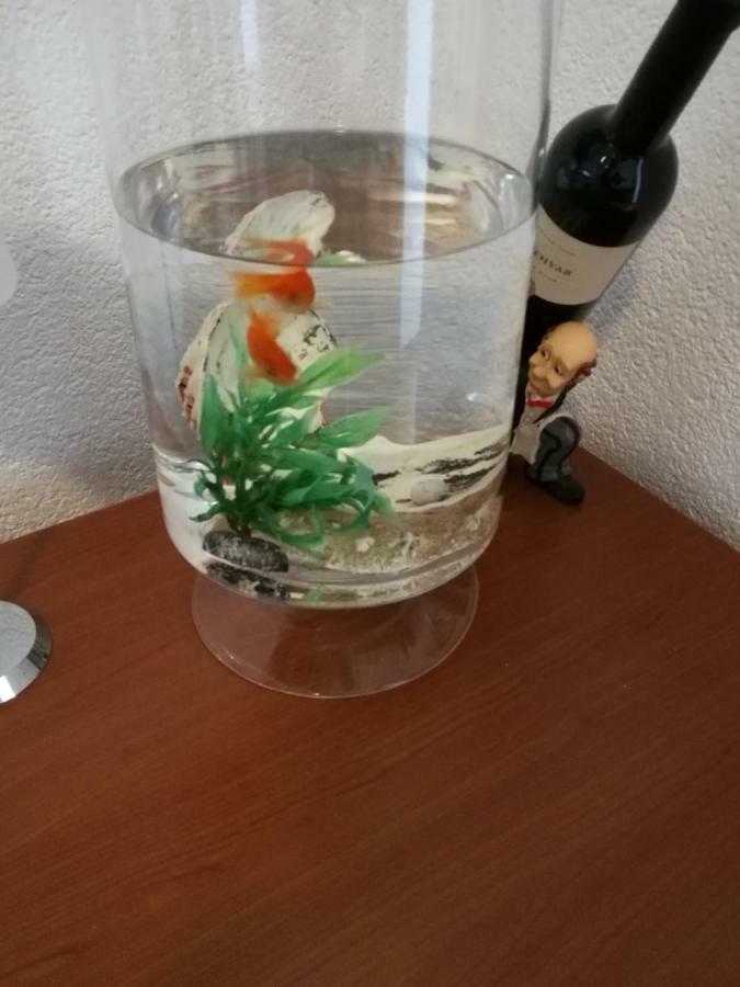 Radun Appartement Split Buitenkant foto